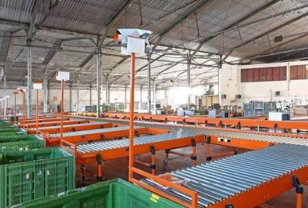 將人工分揀變成機器分揀，使用斜輪分揀機一步搞定